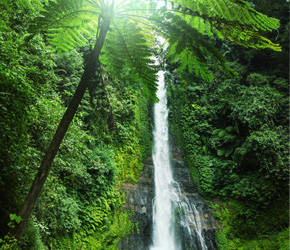 Waterfall in Indonesia, like others elsewhere in the world, have long been places of sacred worship