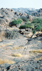 Bandiagarra Escarpment
            in Malil, West Africa 