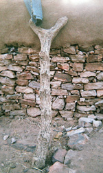 One of the ladders used to reach the rooftop