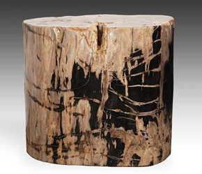 Petrified wood stool or side table