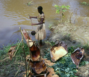 A Sawos woman processing sago on the river bank