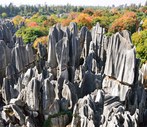 Stone Forest located in China's vast karst region, 50 miles southeast of Kunming City