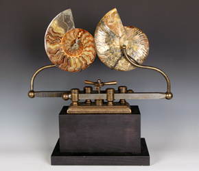 Ammonite Fossil on adjustable mechanized display