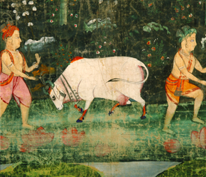 Pichvai illustrating Gopi convening with cow herders and sacred cows