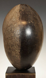 Palm seed with inscription