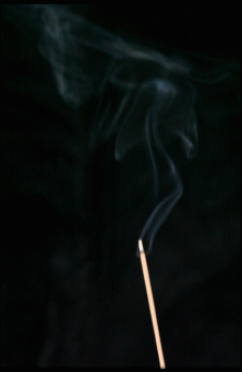 PRIMITIVE PURE Agar Wood Incense