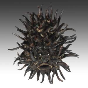 Medusa Mask