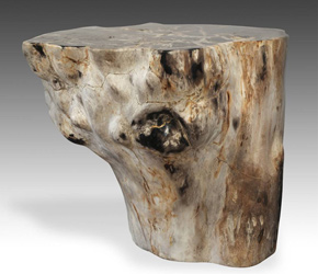 Petrified wood table found in Java, Indonesia