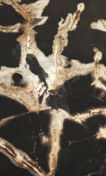 Carbon or manganese oxide within silica is what gives the interior of this table a prominent black color