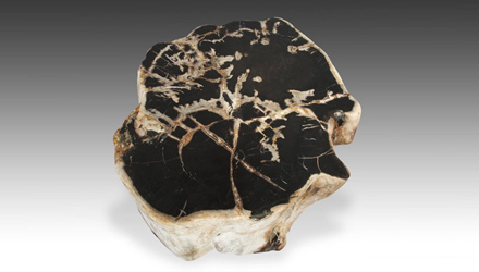Petrified wood pedestal or side table