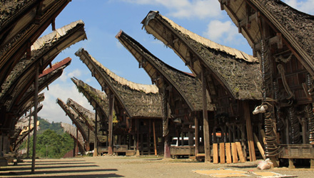 Tongkonan is the center of the Toraja's social and spiritual life - the focus of ritual life - and the symbol of family identity