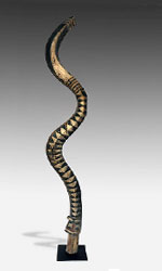 Baga Snake Baga Snake